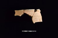 陶片藏品圖，第1張